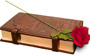 bookday02.jpg