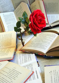 bookday22.jpg