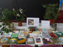 DSCN579401.jpg